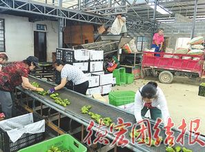 為中小企業(yè)插上騰飛的翅膀 德宏州非公有制經(jīng)濟信用擔保中心發(fā)展紀實